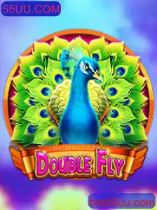 Explorando o Mundo de DoubleFly: Regras, Estratégias e Atualizações